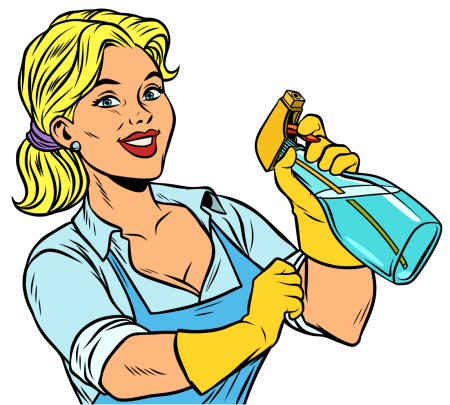 hollys cleaning services